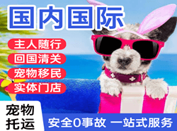 连云港花果山航空物流国际宠物托运 【国